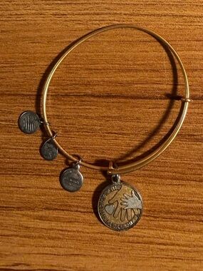 Alex and Ani Hand in Hand II Bangle Rafaelian Gold Expandable Charm Bracelet